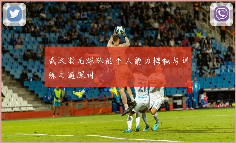 武汉羽毛球队的个人能力揭秘与训练之道探讨