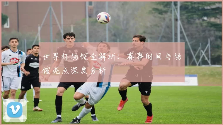 世界杯场馆全解析：赛事时间与场馆亮点深度分析