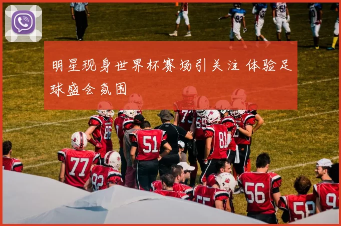 明星现身世界杯赛场引关注 体验足球盛会氛围
