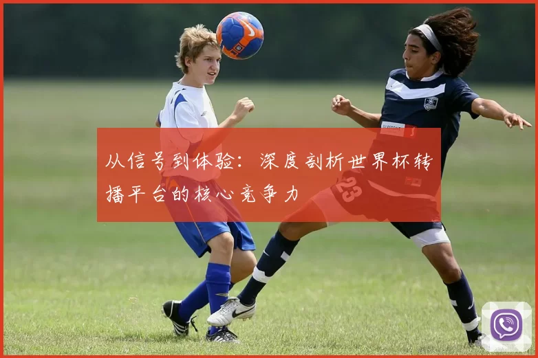 从信号到体验：深度剖析世界杯转播平台的核心竞争力