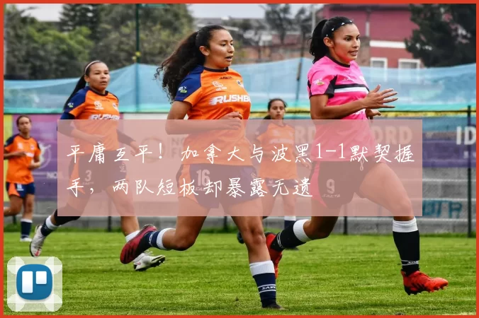平庸互平!加拿大与波黑1-1默契握手,两队短板却暴露无遗