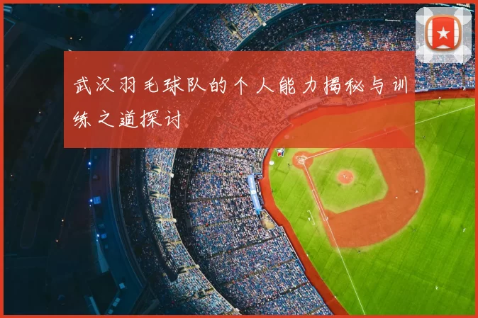 武汉羽毛球队的个人能力揭秘与训练之道探讨