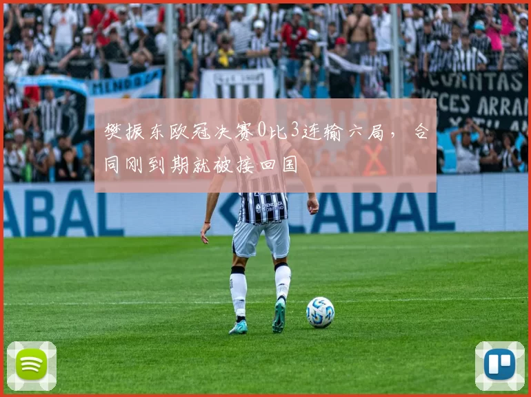 樊振东欧冠决赛0比3连输六局,合同刚到期就被接回国