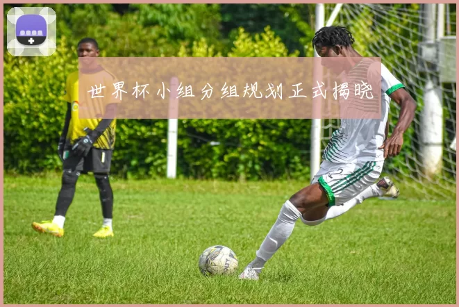 世界杯小组分组规划正式揭晓