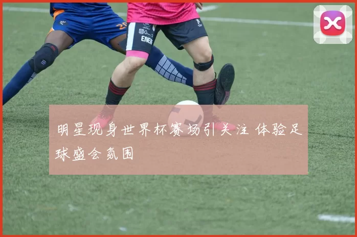 明星现身世界杯赛场引关注 体验足球盛会氛围