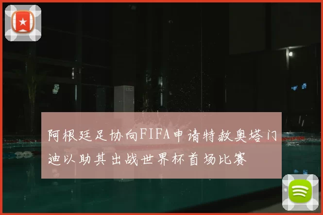 阿根廷足协向FIFA申请特赦奥塔门迪以助其出战世界杯首场比赛